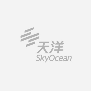 天洋集團(tuán)